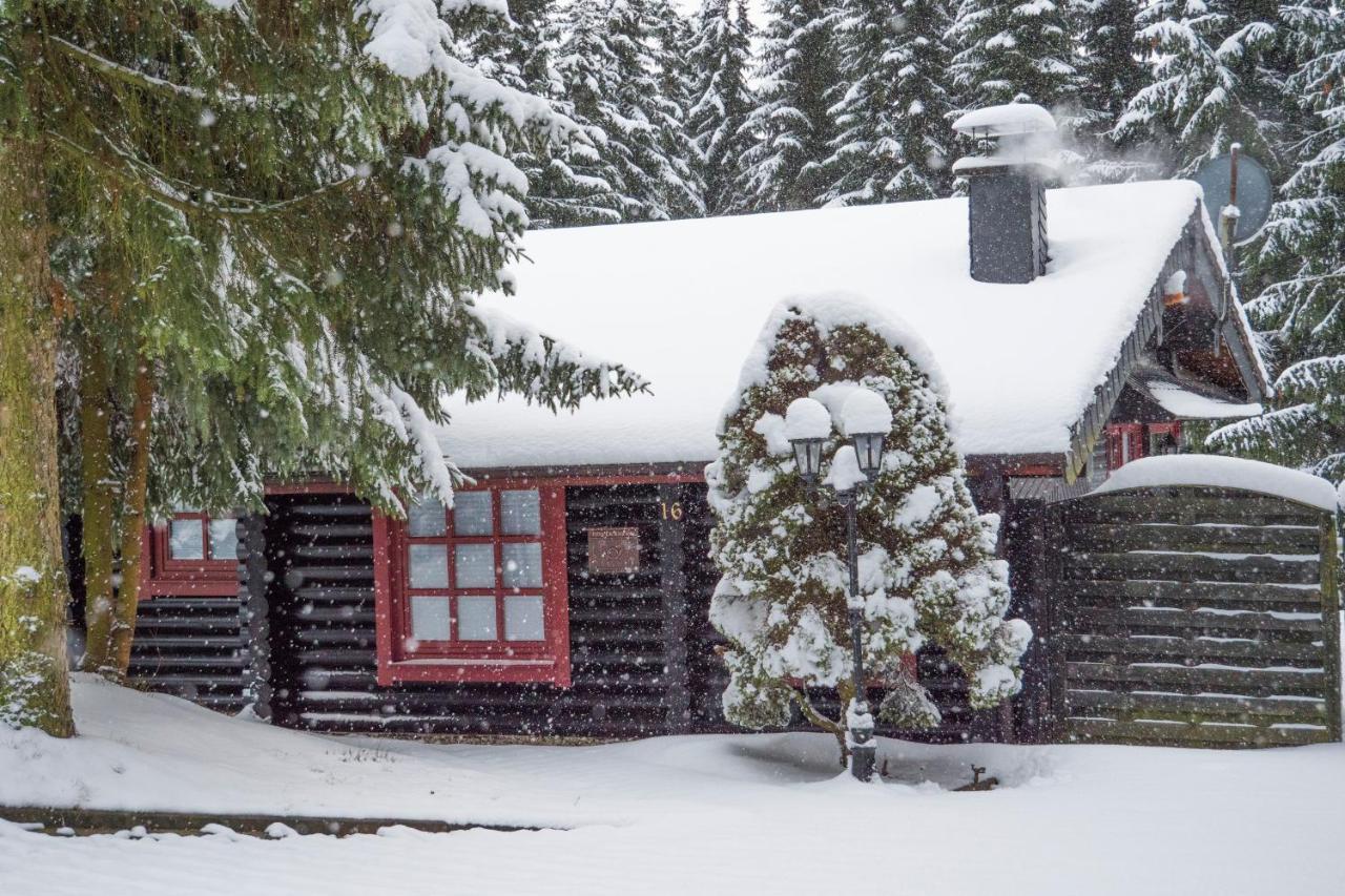 Ferienhaus Naturliebe Winterberg Kültér fotó